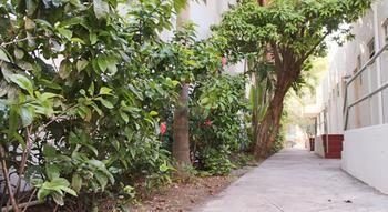 Hotel Casa Coloretta Miami Beach Bagian luar foto